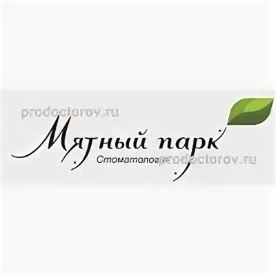 Куртка парка женская зимняя мятного цвета. Куртка мятного цвета женская демисезонная. Мята. Мятный парк. Мятная зимняя парка.