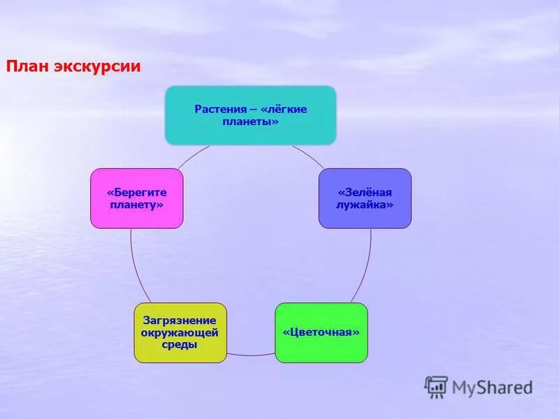 Экскурсионный план. План экскурсии. Схема экскурсии. План экскурсии на природу. План экологической экскурсии.