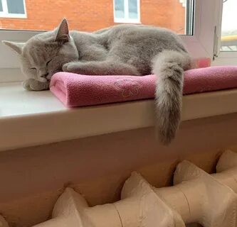 В подольске дали отопление