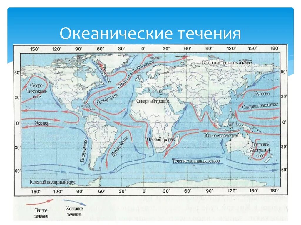 Западные берега теплые и холодные течения