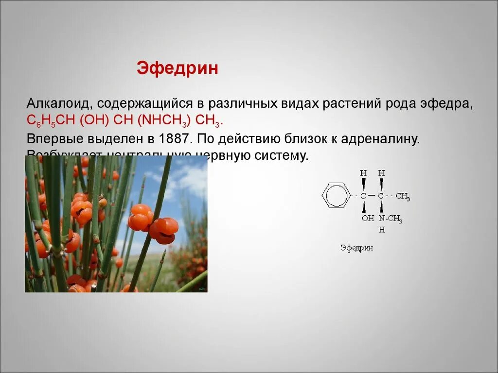 В каких растениях содержится соль. Алкалоид содержащийся в различных видах эфедры. Эфедрин алкалоид. Алкалоиды эфедры. Эфедрин получают из.