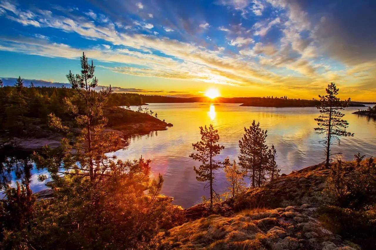 моренные озера ладога. лен обл озеро забытое. озеро конкосаари карелия. вереск в карелии. ледниковые озера карелии.