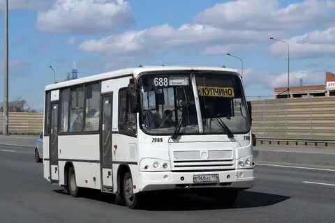 246 автобус купчино