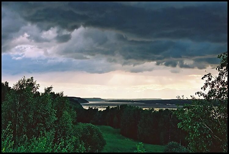 Фото калинов
