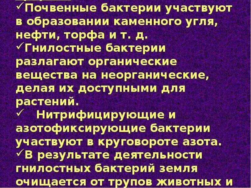 Почему бактерии могут быть помощниками земледельца. Почвенные бактерии. почвенные бактерии презентация. значениепочвеных бактерий. доклад на тему почвенные бактерии.