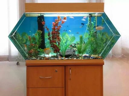 Разные аквариумы аквариум