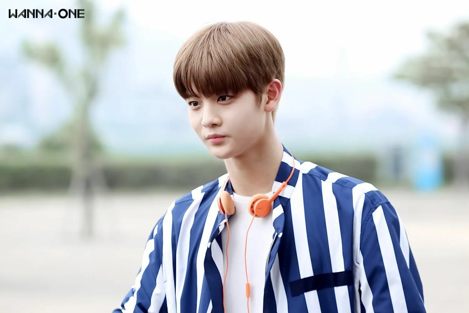 The youngest but one. Группа wanna one. ванна ван. ванна ван участники. сону ванна ван.