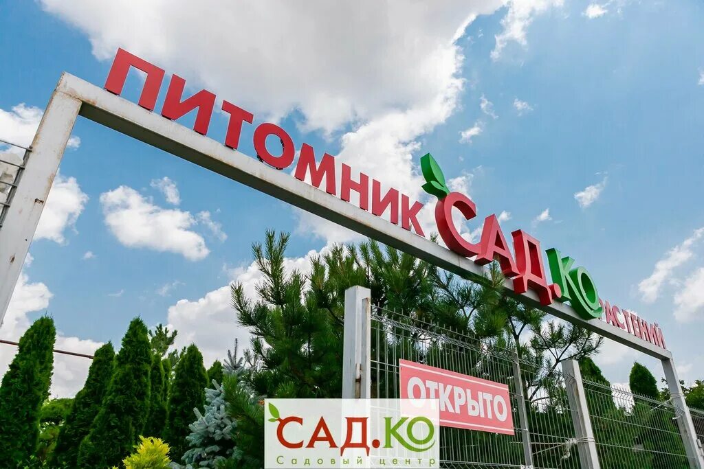 флориссима ленинаван. левобережная донецк. овощной. флора сервис туя. южная столица садовый центр в ростове-на-дону.