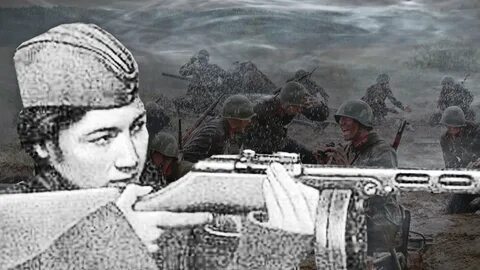 Zebo бугры
