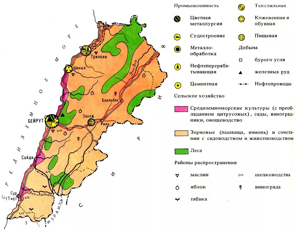 природные зоны туниса. природные зоны африки контурная карта. визитная карточка туниса. типы почв в африке на карте. ливан сельское хозяйство.