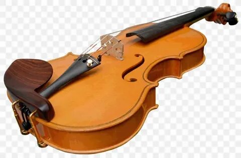 Viola violin