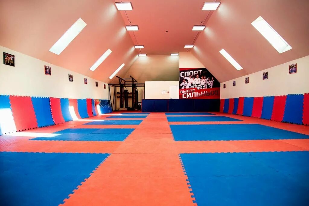 спортивные залы для мма. школа единоборств в железнодорожном. центр спортивного плавания. спортивные секции в школе. спорт секции.