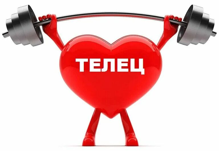 Тельцы здоровье. Тельцы здоровье. 24 апреля овен или телец. Телец 2023. Тельцы здоровье.