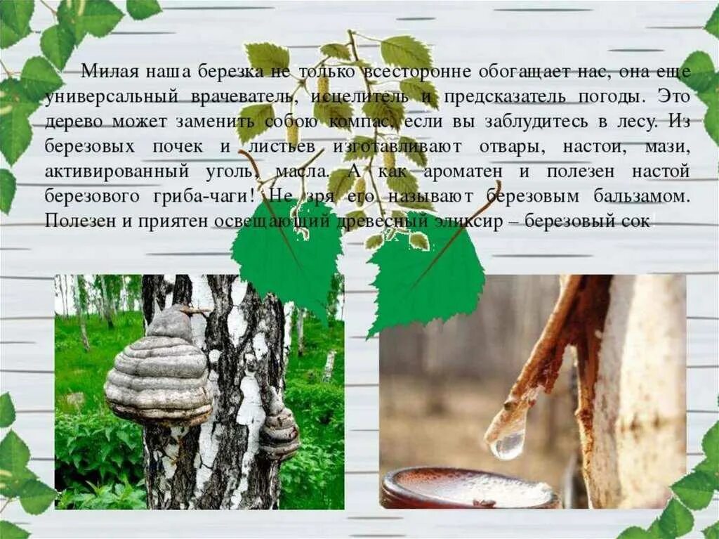 Какое на ощупь дерево