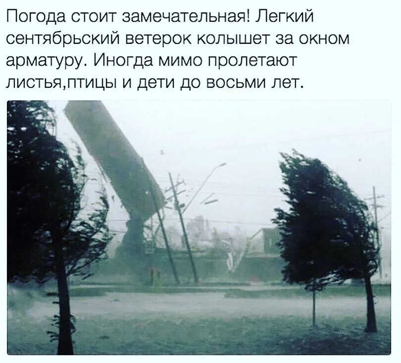 Легкий ветерок колышет арматуру. Лёгкий ветерок треплет арматуру. Ветер колышет деревья. Ветер ласково треплет арматуру. Ветер треплет деревья и дожди