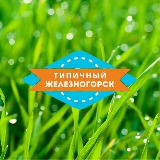 Типичный железногорск курской обл