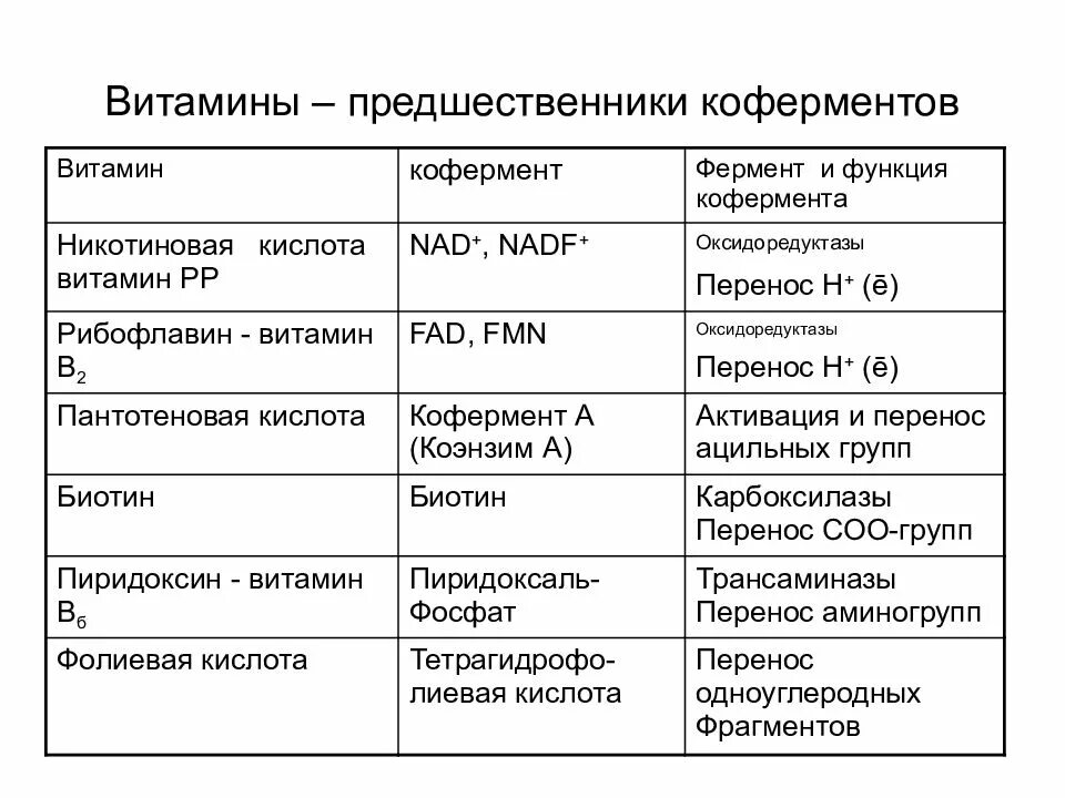 Ферменты коферменты витамины