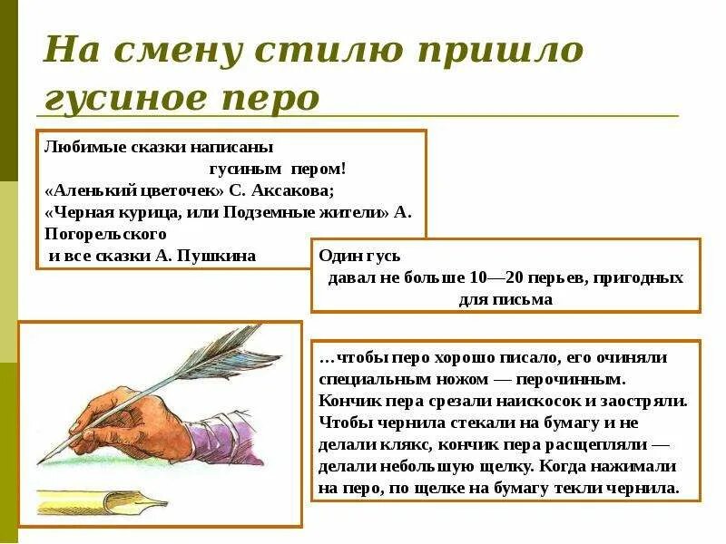 Что означает слово пера. White feather идиома. Гусиные перья для письма в древней руси. Прямое значение слова это. Схема строения контурного пера.