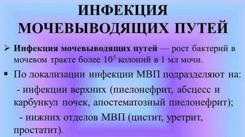 Какие инфекции мочеполовой системы