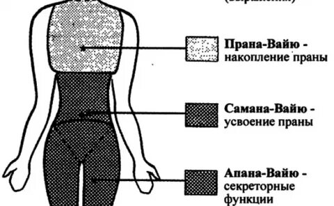 Апали апана