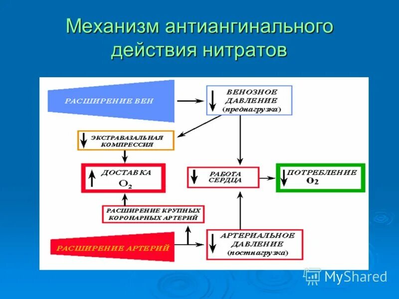 Синтез нитратов. Механизм антиангинального действия. Механизм действия нитратов при ИБС. Механизм нитратов антиангинальное действие. Механизм антиангинального действия нитроглицерина.