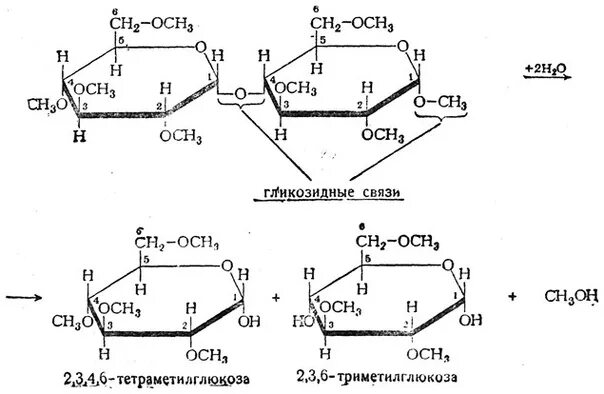Связь 4 гликозидная. Альфа 1 1 гликозидная связь. Альфа 1 6 гликозидная связь. Альфа 1 4 гликозидная связь. Метил Альфа д глюкопиранозид.