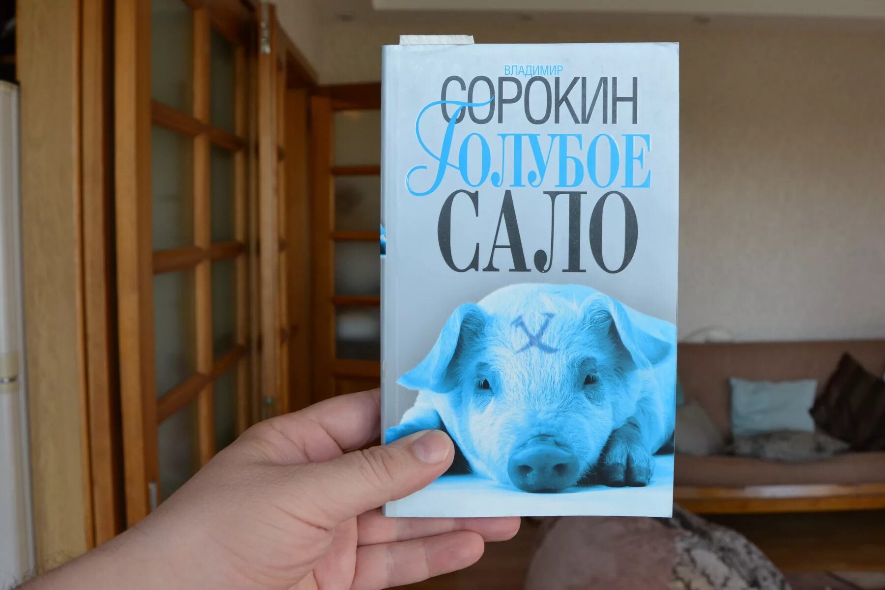 Голубое сало книга краткое содержание. Сорокин книга голубое сало.