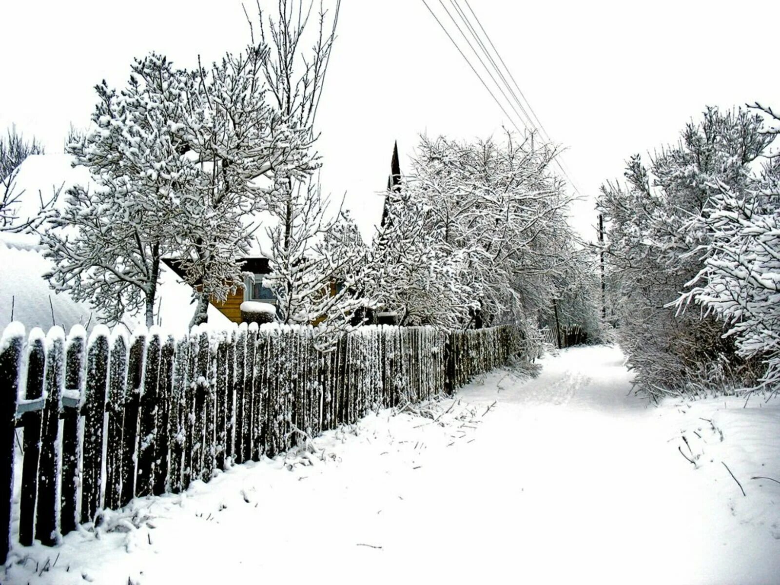 Деревня зимой. Снежная зима в деревне. Деревня в снегу. Снег в селе.