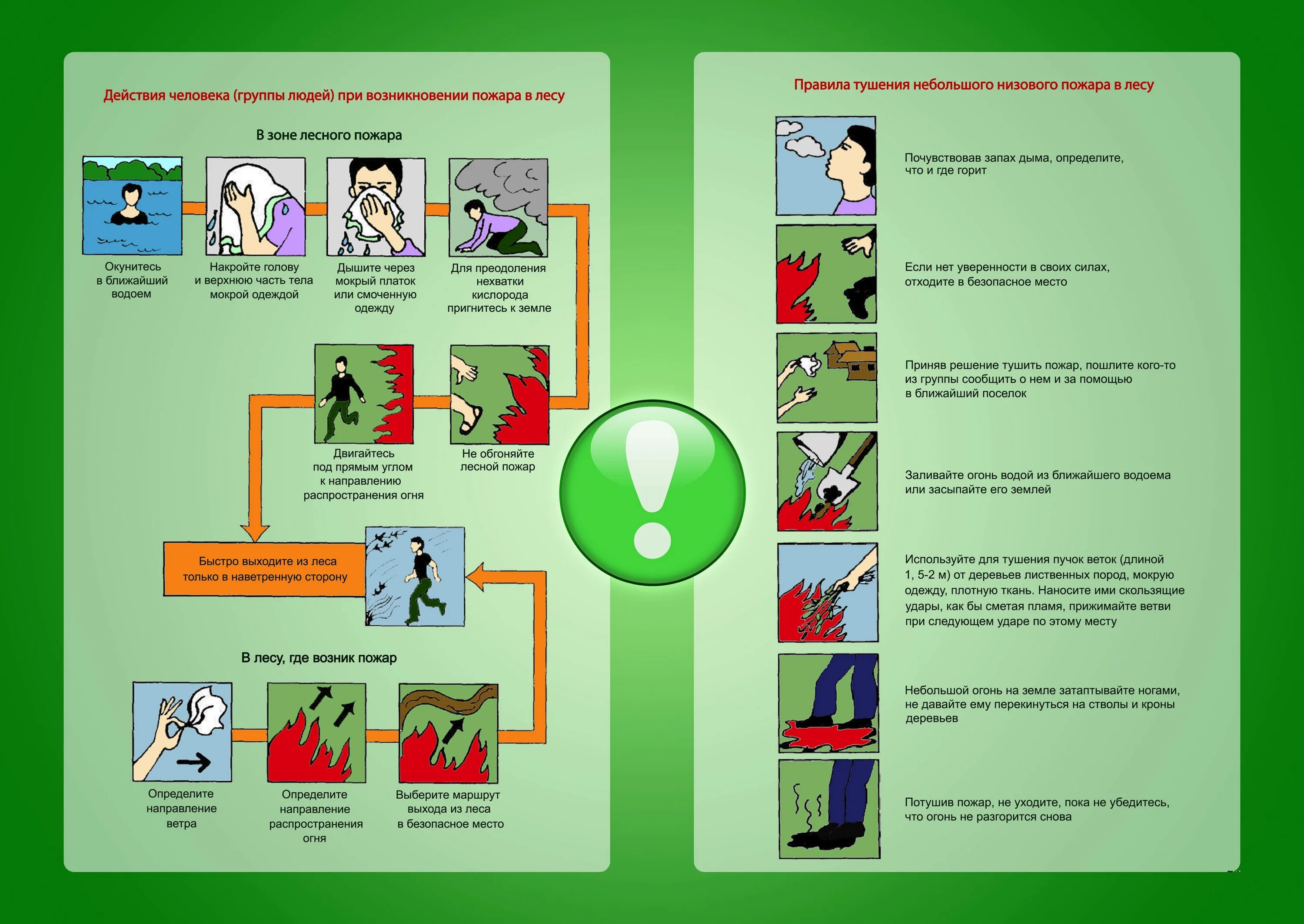 Алгоритм действий пожарного. Алгоритм действия населения при природных пожарах. Памятка поведение при обнаружении очага пожара в лесу. Алгоритм действий при Лесном пожаре. Памятка поведение человека при Лесном пожаре.