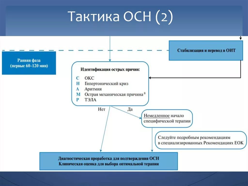 Осн структура. Схема терапии осн. тактика осн. осн 1 схема. тактика ведения пациентов с осн.
