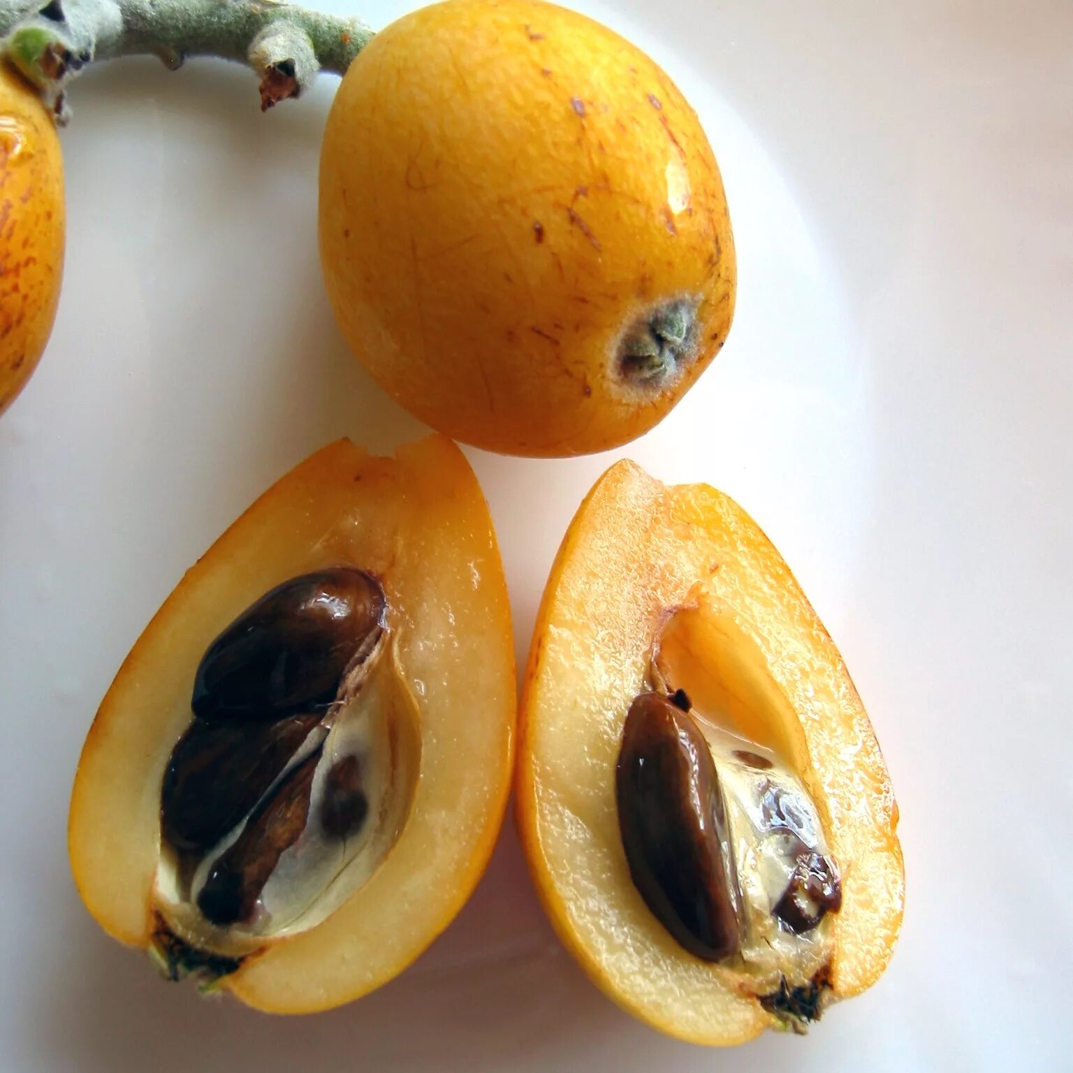 Оранжевый фрукт с черными. Мушмула фрукт. Мушмула японская. Южный фрукт мушмула. Нисперо мушмула.