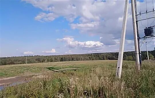 Тихорецкий пруд. 45 гектар. Арендатор владел 497843 га земли. Арендатор владел 867 га земли. Арендатор владел 867 790 га земли словами.