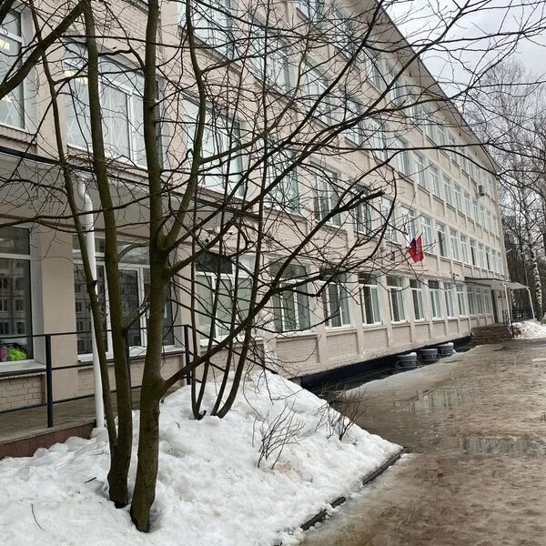 Лицей в калининском районе. Лицей 95 санкт-петербург. лицей 95 сочи.