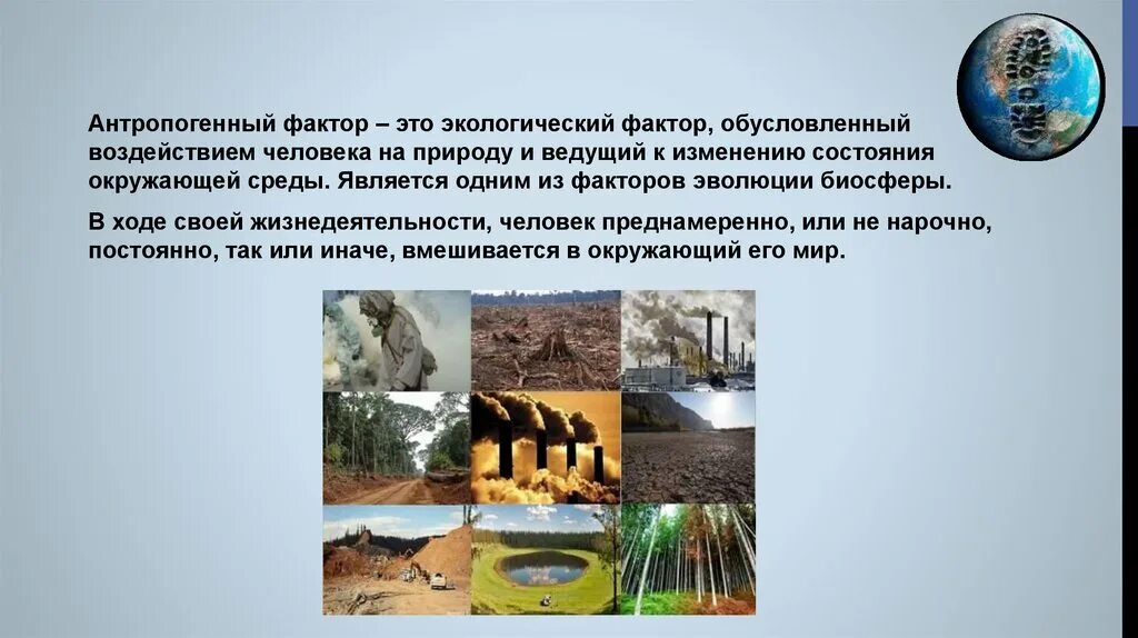 Воздействия антропогенных факторов на среду. Антропогенные экологические факторы. Факторы антропогенного воздействия на окружающую среду. Антропогенные факторы влияния человека на природу. Антропогенное происхождение.