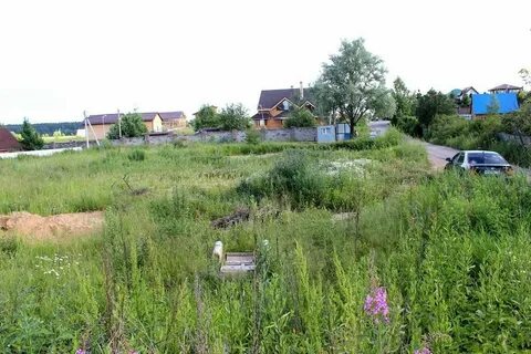 Погода шаховская московская область степаньково