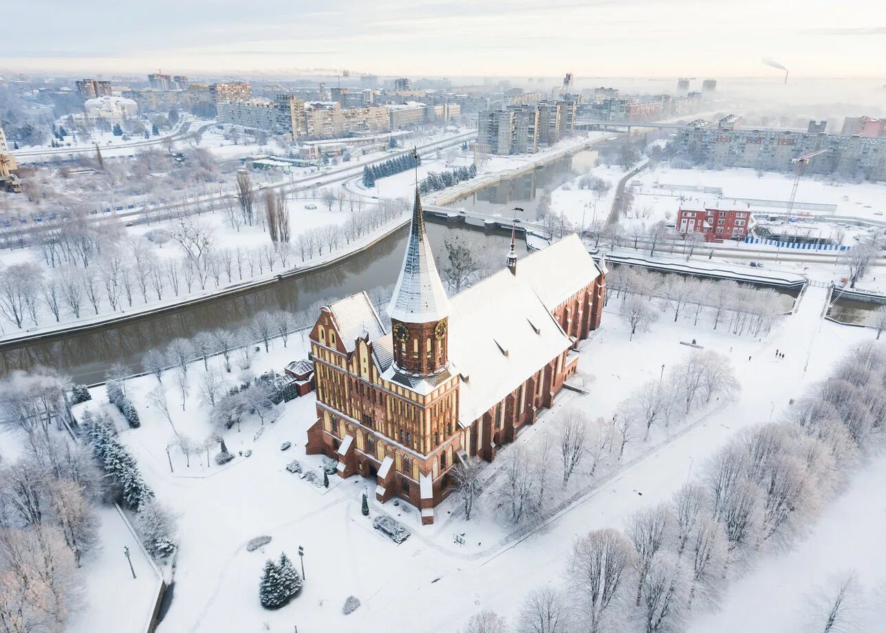 Ночной зимний калининград. Новогодняя елка в калининграде 2022. Рождественский гданьск. Куда сходить в калининграде в январе 2024. Зимняя ярмарка в калининграде.