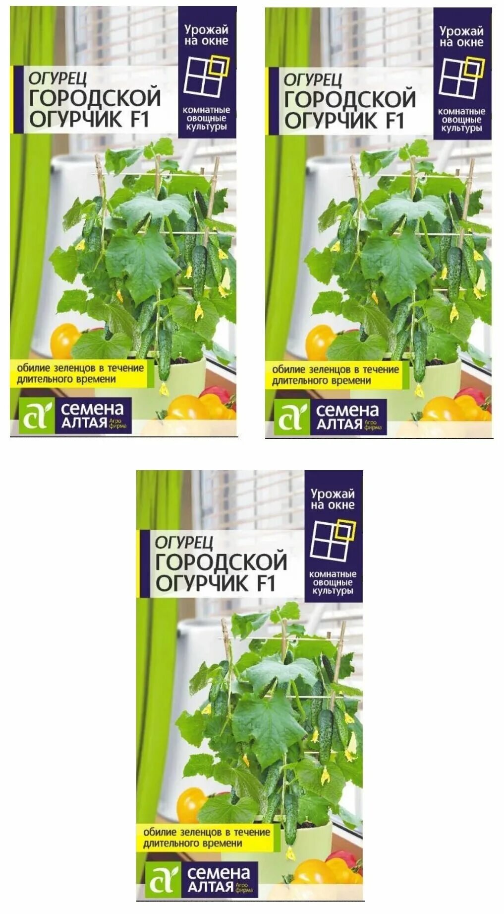 городской огурчик f1 отзывы