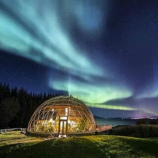 Под куполом домашний