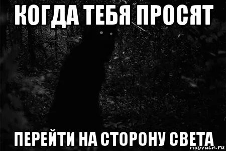 Не в их сторону