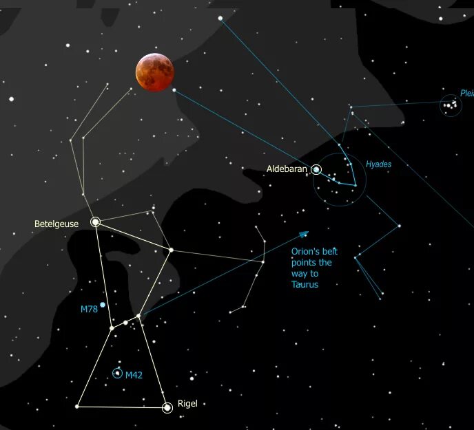 Созвездие альдебаран находится в созвездии. Бетельгейзе Созвездие. Бетельгейзе звезда в созвездии. Орион Бетельгейзе. Ригель в созвездии Ориона.
