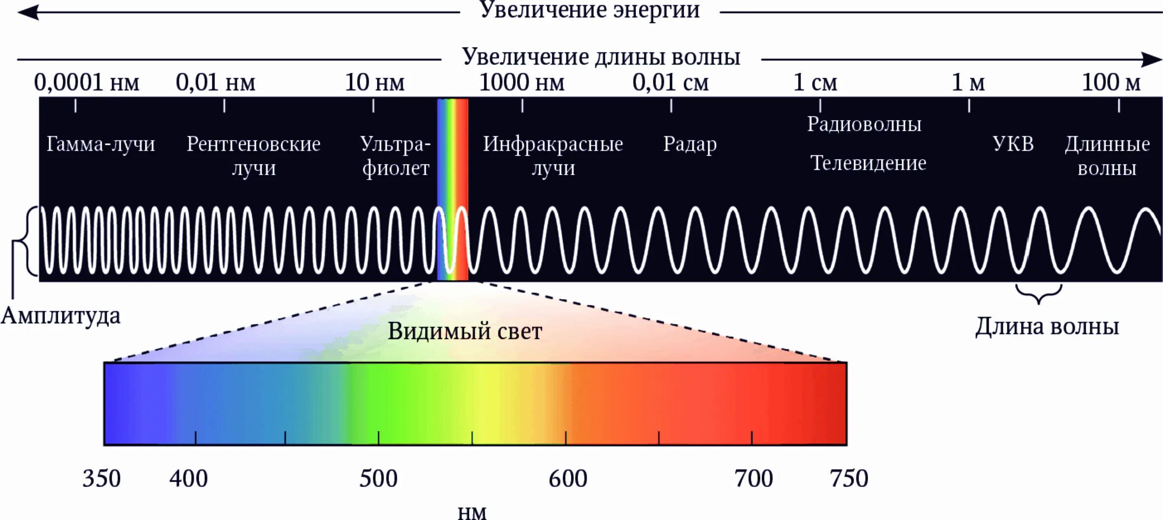 Длины волн видимого спектра. Длины волн электромагнитного спектра. Диапазон волн длин волн видимой части спектра. Электромагнитный спектр с длинами волн.