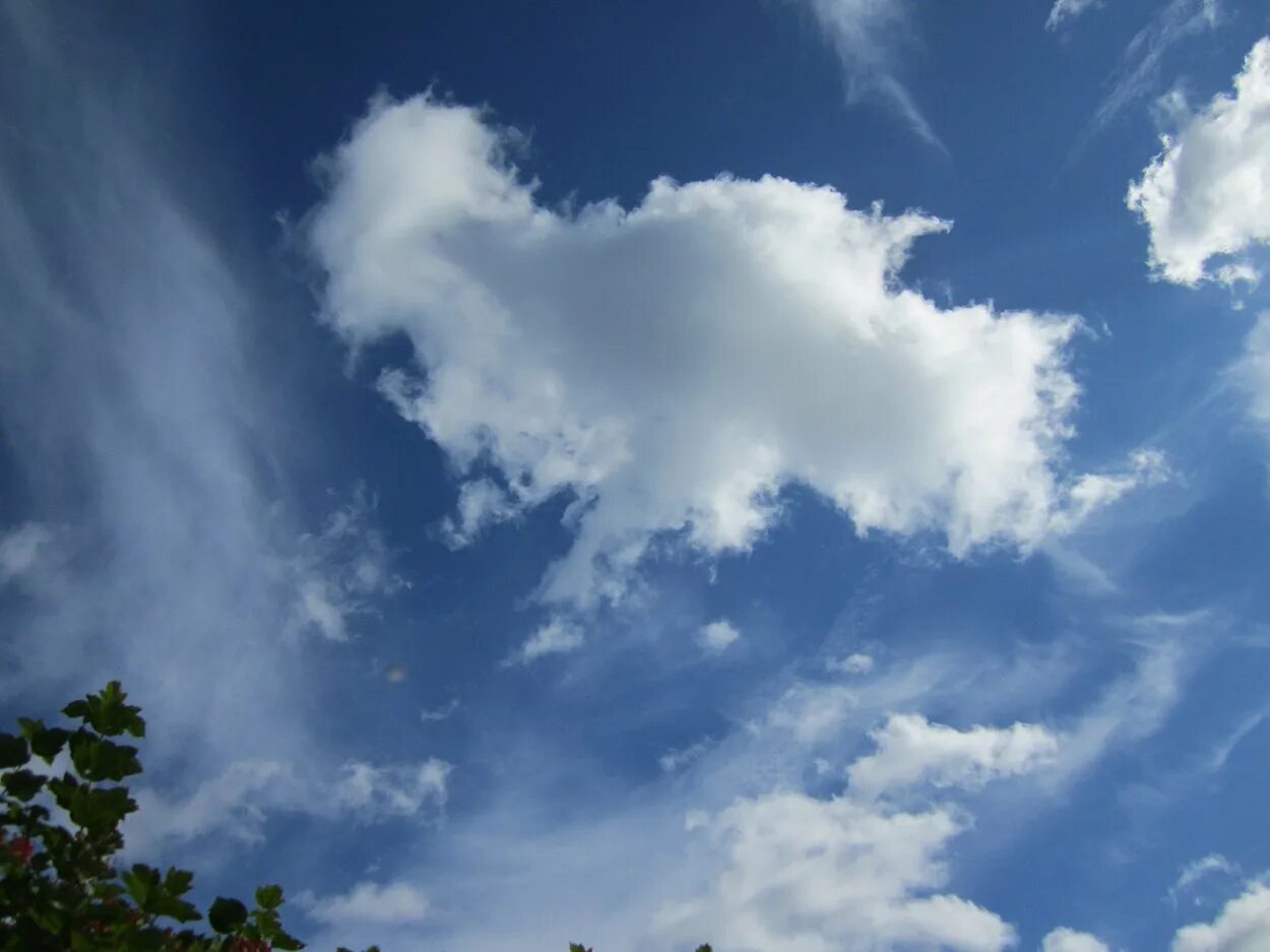 Облака надо мной летят. Фигуры из облаков. Фигура облако. Облачные фигуры в небе. Облака лошадки.