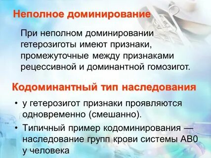 Неполное доминирование гетерозиготы
