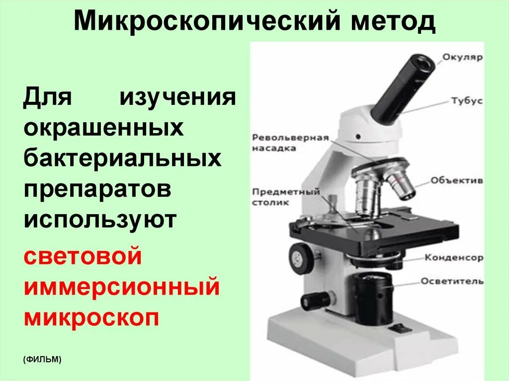 Микроскоп (с иммерсионным объективом) XSZ-107bn. Иммерсионный микроскоп строение. Световой микроскоп строение макровинт. Иммерсионная микроскопия микроскопии.. Какие методы исследования представлены на рисунках