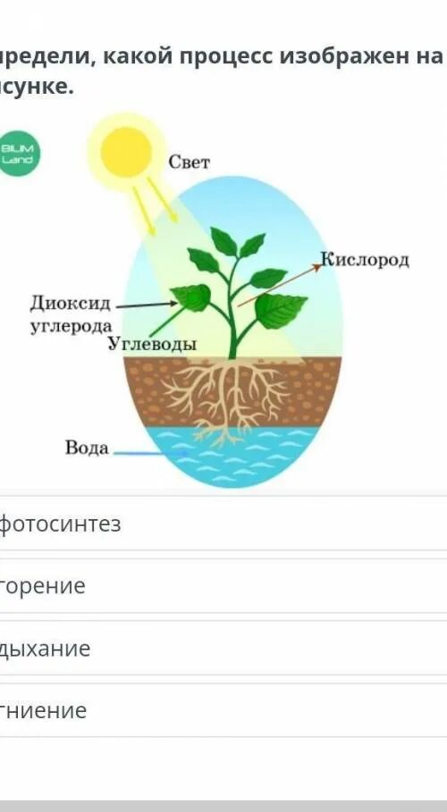 Какой процесс на рисунке