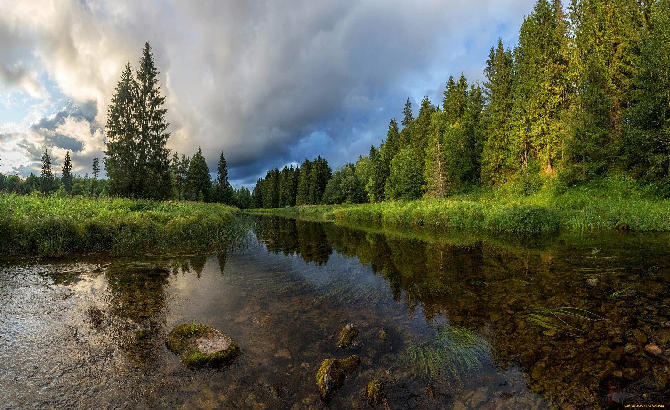 Включи реки озера. Река Лобань. Руза река лес. Природа лес река Лесная. Лето лес река.