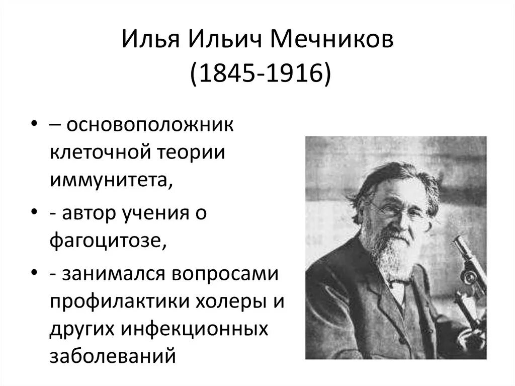 Что создал мечников в биологии