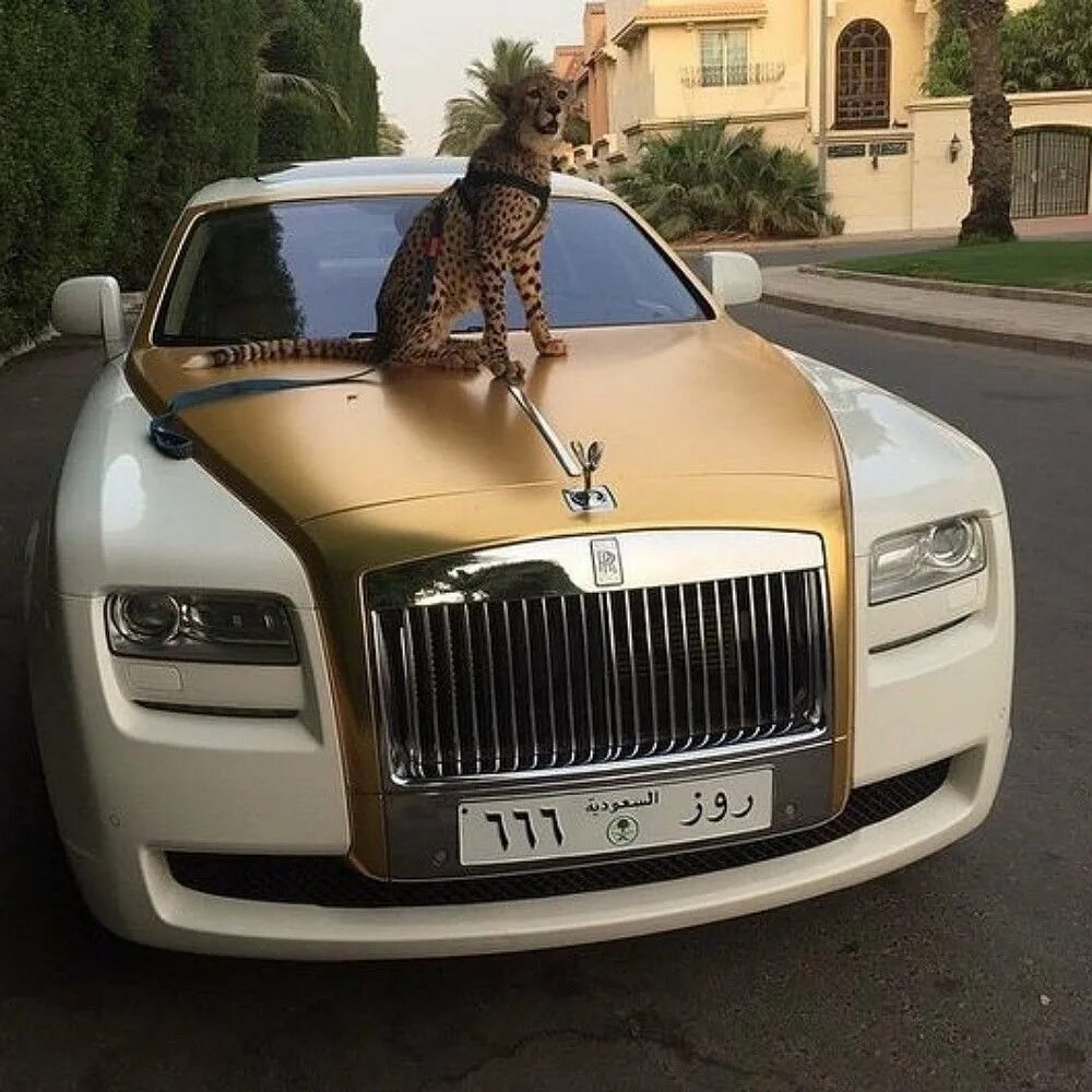 Expensive rich. Rolls-Royce Гусейна Гасанова. Роллс Ройс шейха. Роллс Ройс Luxury. Машина Гусейна Гасанова Роллс Ройс.