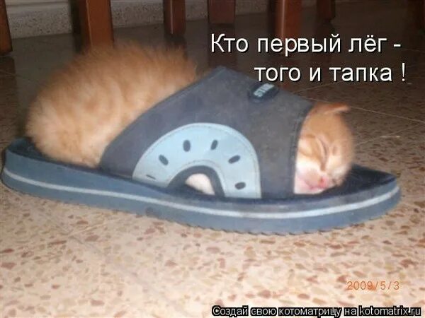 Где находится тапок