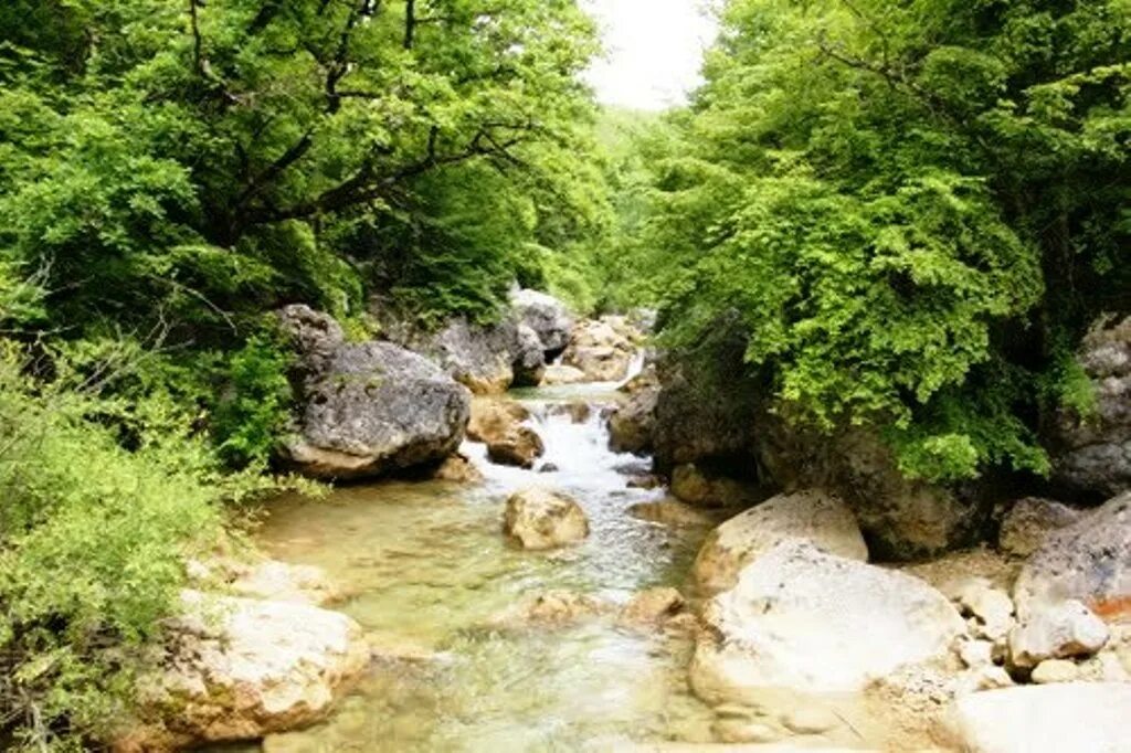 Река биюк карасу. Река бельбек пересохла. Горные реки крыма. Крым соколиное коккозка. Река коккозка в крыму.